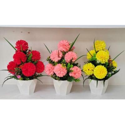 گلدان 6ضلعی داودی 9 گل B