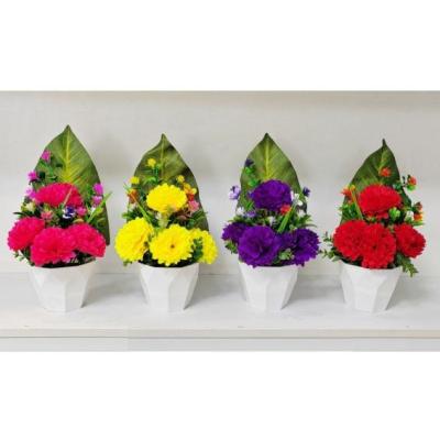 گلدان 6 ضلعی K پشت برگ متوسط