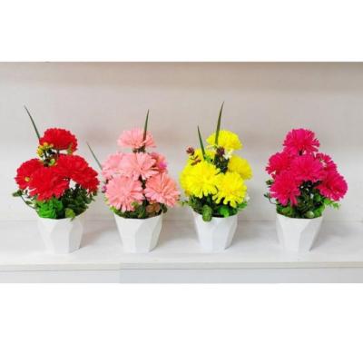 گلدان 6ضلعی داودی 7 گل جدید