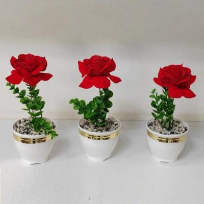 رز تک گل مخمل درجه یک