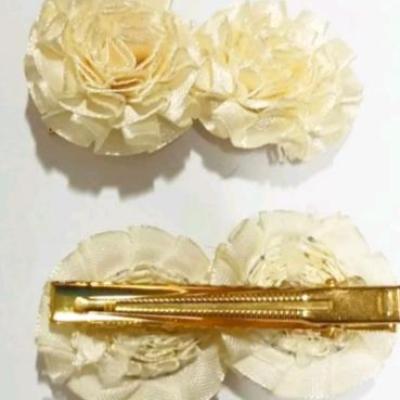 گیره مو انبری یک جفت با هم