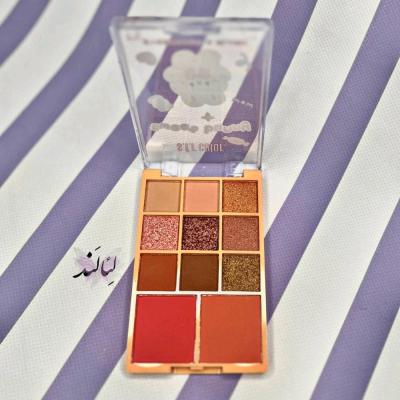 سایه چشم و رژ گونه چند کاره