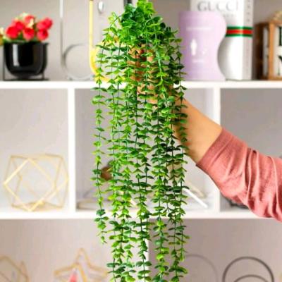 شمشاد مصنوعی