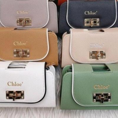 کیف پاسپورتی