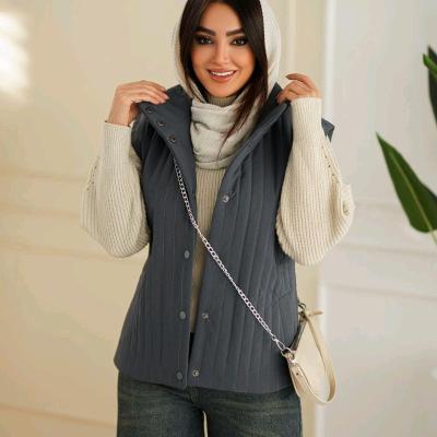 پافر مدل زیوا