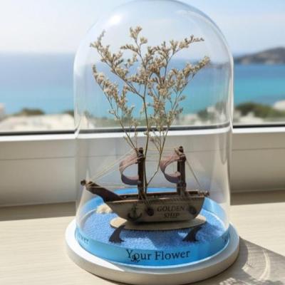 تراریوم فلکسی دریا