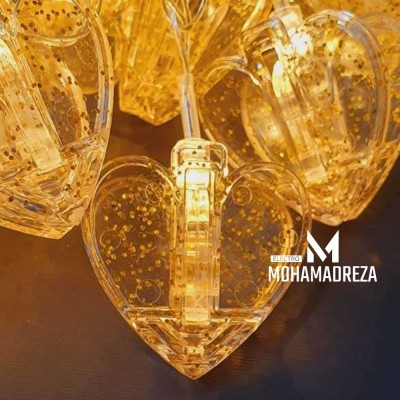 ریسه گیره دار قلبی(اکلیلی)