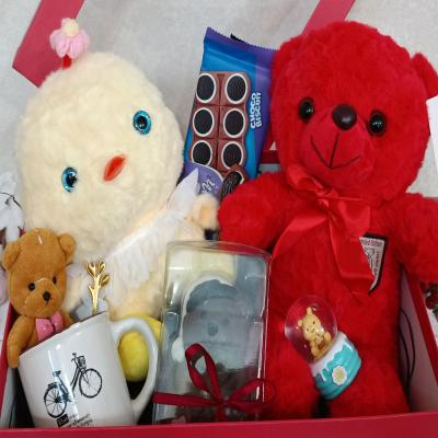 پک هدیه عروسک هدی پک مدل HediPack P1