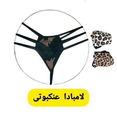 لامبادا عنکبوتی زنانه