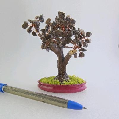 درختچه سنگی برونزیت چشم ببر جدید53