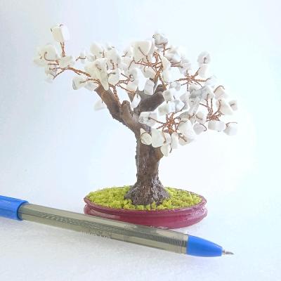 درختچه هائولیت سفید