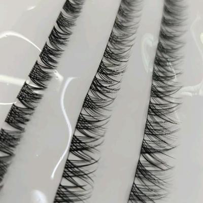 مژه ریسه‌ای فیشر