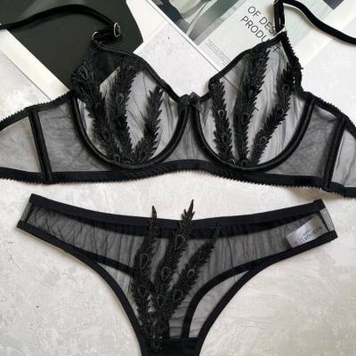 برند مکسوریاست ترکیبی امبرود