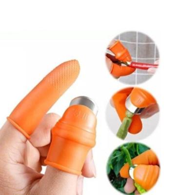 میوه چین سیلیکونی