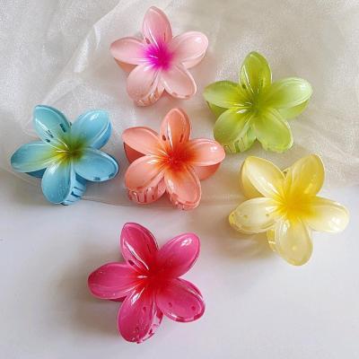 کلیپس پلومریا بزرگ رنگی