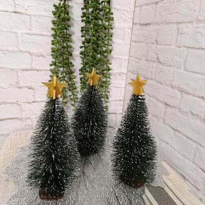 درخت کاج ارتفاع 20 سانت