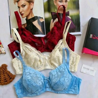 سوتین گیپور فنردار /انوشه