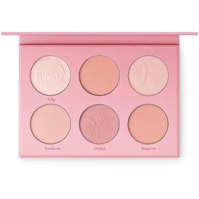 پالت رژ گونه 6 رنگ شیگلم SHEGLAM