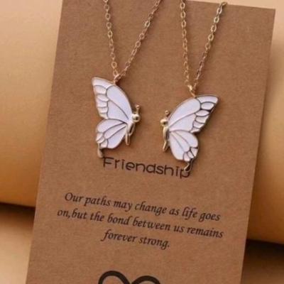 ست دو عددی گردنبند استیل با پلاک پروانه