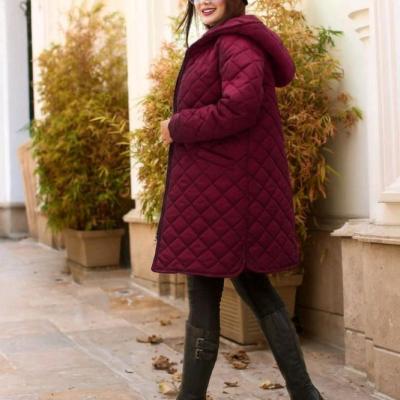 کاپشن مموری کلاهدار