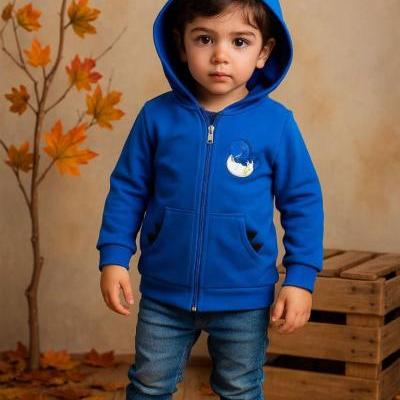 سویشرت پسرانه گلدوزی داینو