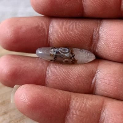 نگین شجر سوزنی قائن باباقوری دار