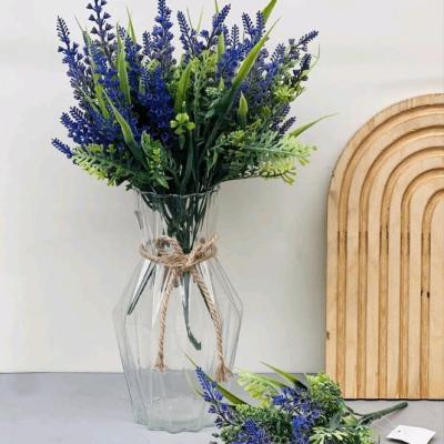 بوته لوندر وارداتی تراکم بالا