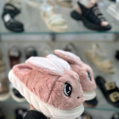 صندل خرگوشی