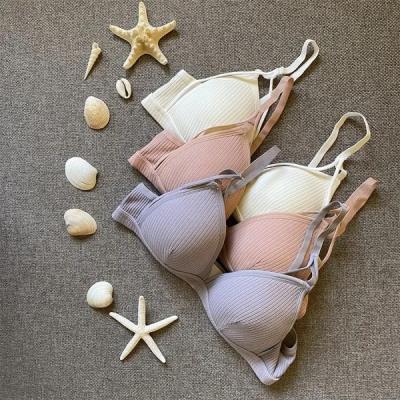 سوتین هارنس دار کبریتی کد 351