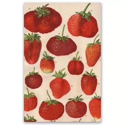 پوستر طرح توت فرنگی