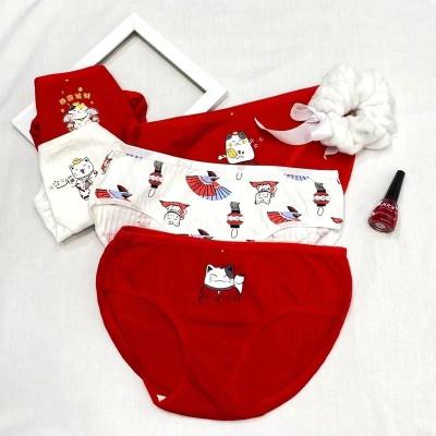 بسته 5 عددی شورت عروسکی طرح گربه