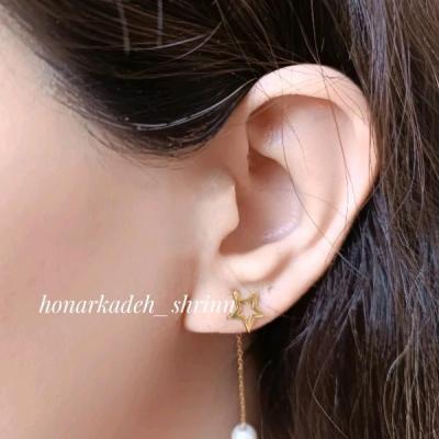 گوشواره میخی دو عددی استیل ستاره و مروارید