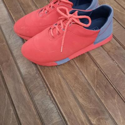 کتانی اسپرت