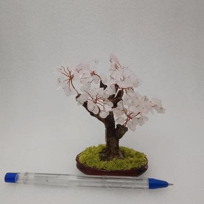 درختچه رز کوارتز کلکسیونی درجه یک جدید16