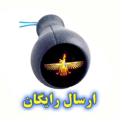 سردنده چراغدار نشان فروهر مناسب پژو 405 و پژو 206 و رانا (ارسال رایگان)
