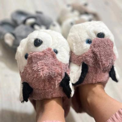 پاپوش پولیشی مدل هاسکی