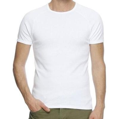 تیشرت سفید ساده بدون طرح مردانه