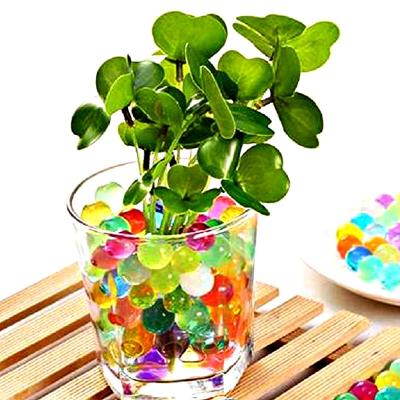 خاک ژله ای رنگی