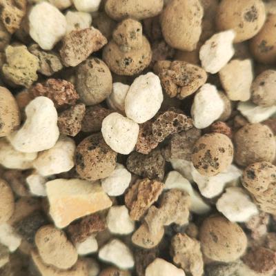 بستر کشت لچوزا فندقی بسته 2 لیتری