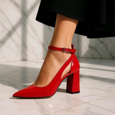 مجلسی رکابدار