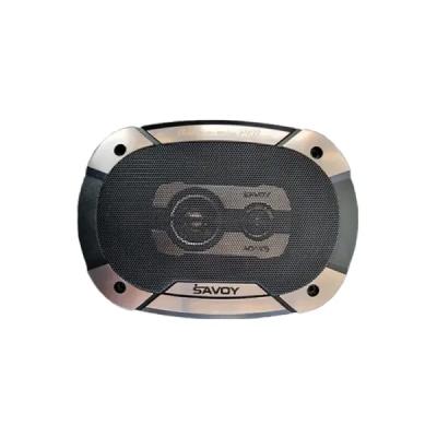 اسپیکر ساووی 6975