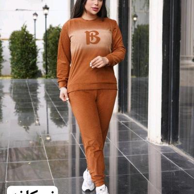 ست بلوز شلوار زنانه تینا ، ارسال رایگان ،فری سایز تا 46 ، رنگبندی،مخمل