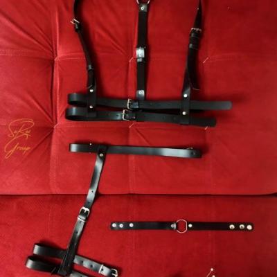 ست چرم کد LE12.17.40