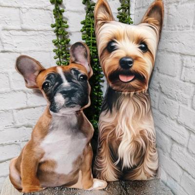 کوسن طرح هاپو