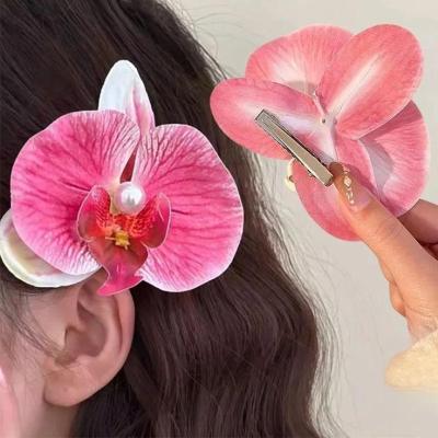 گلسر ارکیده