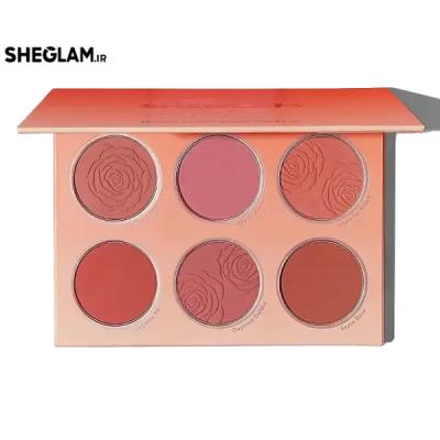 پالت رژ گونه 6 رنگ شیگلم