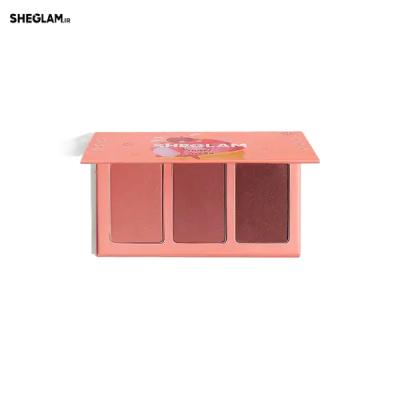 پالت رژ گونه سه رنگ شیگلم