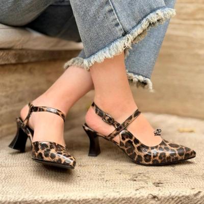 مجلسی پلنگی و ساده