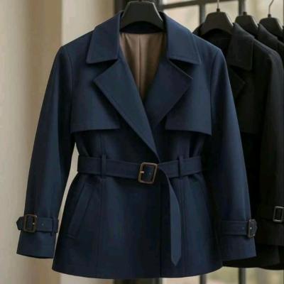 پالتو آستردار