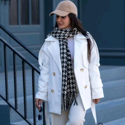 پالتوی آریسا